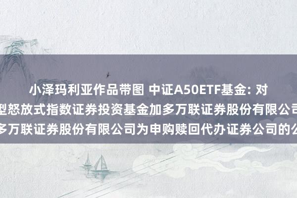 小泽玛利亚作品带图 中证A50ETF基金: 对于大成基金旗下部分往来型怒放式指数证券投资基金加多万联证券股份有限公司为申购赎回代办证券公司的公告