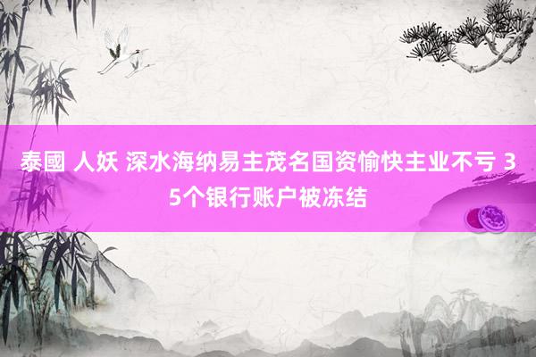 泰國 人妖 深水海纳易主茂名国资愉快主业不亏 35个银行账户被冻结