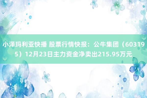 小泽玛利亚快播 股票行情快报：公牛集团（603195）12月23日主力资金净卖出215.95万元