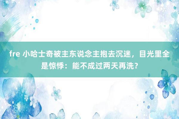 fre 小哈士奇被主东说念主抱去沉迷，目光里全是惊悸：能不成过两天再洗？