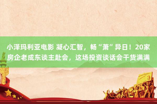 小泽玛利亚电影 凝心汇智，畅“萧”异日！20家房企老成东谈主赴会，这场投资谈话会干货满满