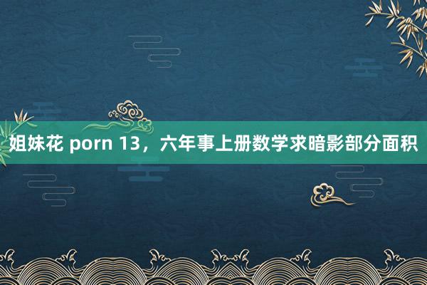 姐妹花 porn 13，六年事上册数学求暗影部分面积