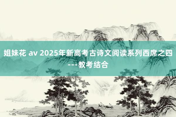 姐妹花 av 2025年新高考古诗文阅读系列西席之四---教