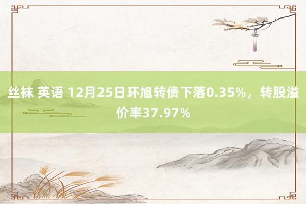 丝袜 英语 12月25日环旭转债下落0.35%，转股溢价率3