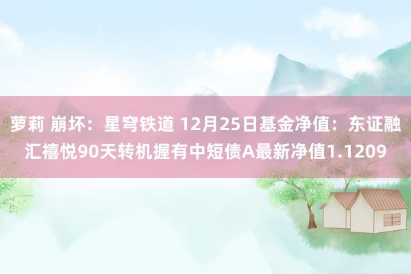 萝莉 崩坏：星穹铁道 12月25日基金净值：东证融汇禧悦90天转机握有中短债A最新净值1.1209