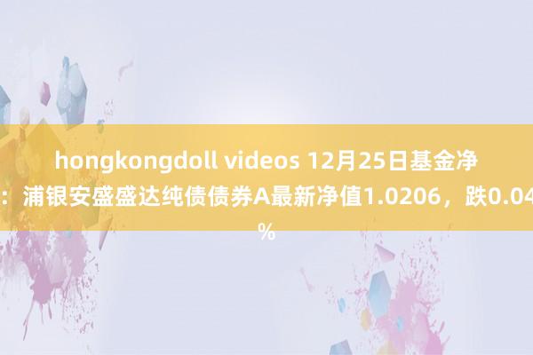 hongkongdoll videos 12月25日基金净值