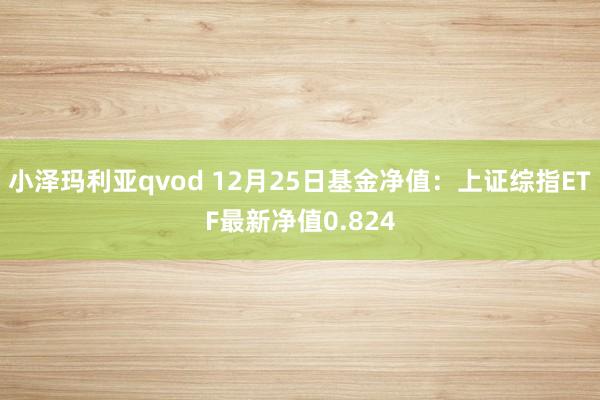 小泽玛利亚qvod 12月25日基金净值：上证综指ETF最新