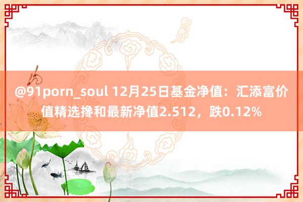 @91porn_soul 12月25日基金净值：汇添富价值精