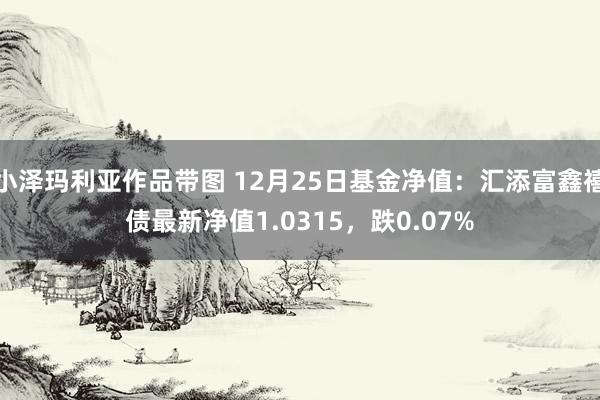 小泽玛利亚作品带图 12月25日基金净值：汇添富鑫禧债最新净