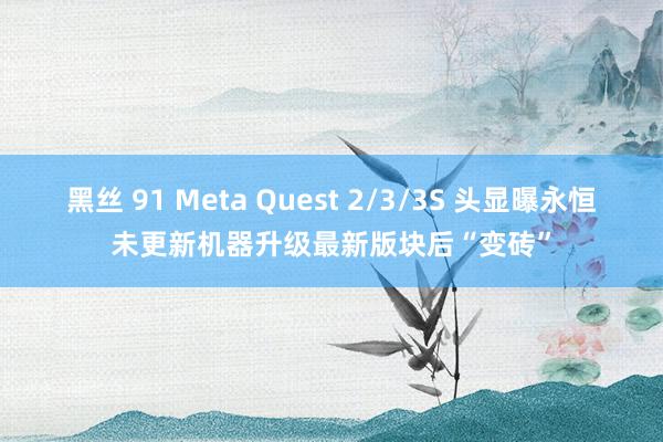 黑丝 91 Meta Quest 2/3/3S 头显曝永恒未