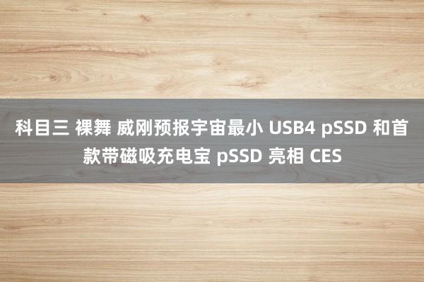 科目三 裸舞 威刚预报宇宙最小 USB4 pSSD 和首款带