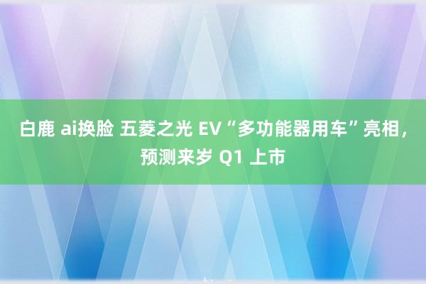 白鹿 ai换脸 五菱之光 EV“多功能器用车”亮相，预测来岁