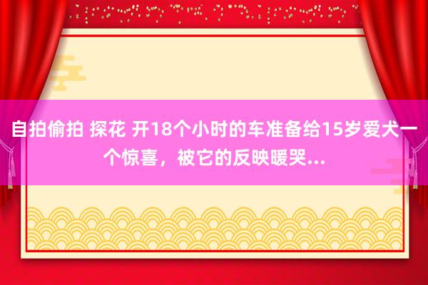 自拍偷拍 探花 开18个小时的车准备给15岁爱犬一个惊喜，被它的反映暖哭...