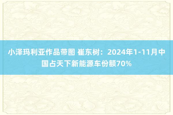 小泽玛利亚作品带图 崔东树：2024年1-11月中国占天下新