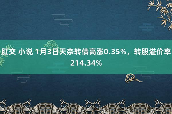 肛交 小说 1月3日天奈转债高涨0.35%，转股溢价率214.34%