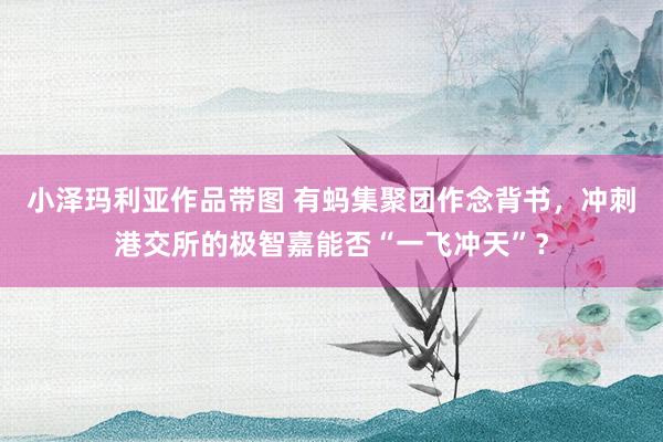 小泽玛利亚作品带图 有蚂集聚团作念背书，冲刺港交所的极智嘉能