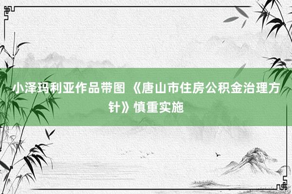 小泽玛利亚作品带图 《唐山市住房公积金治理方针》慎重实施