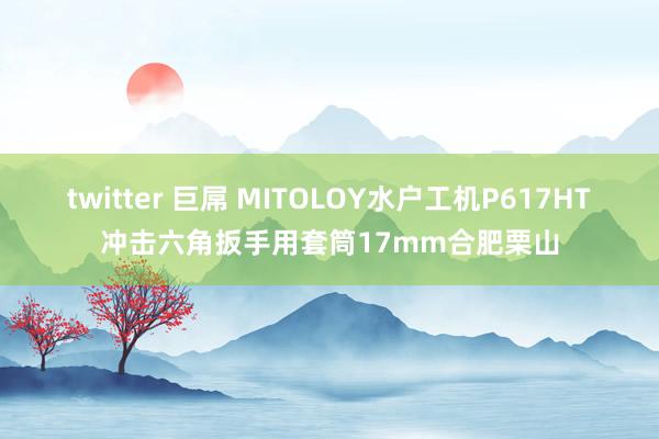 twitter 巨屌 MITOLOY水户工机P617HT冲击