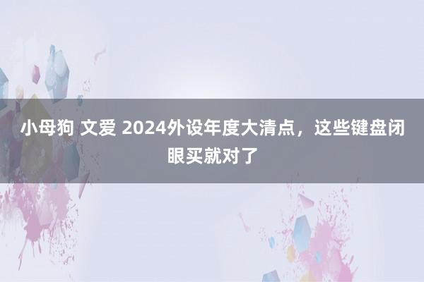 小母狗 文爱 2024外设年度大清点，这些键盘闭眼买就对了