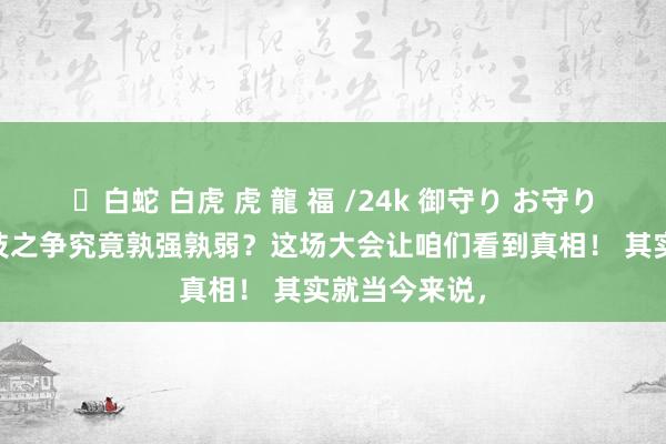 ✨白蛇 白虎 虎 龍 福 /24k 御守り お守り 中好意思