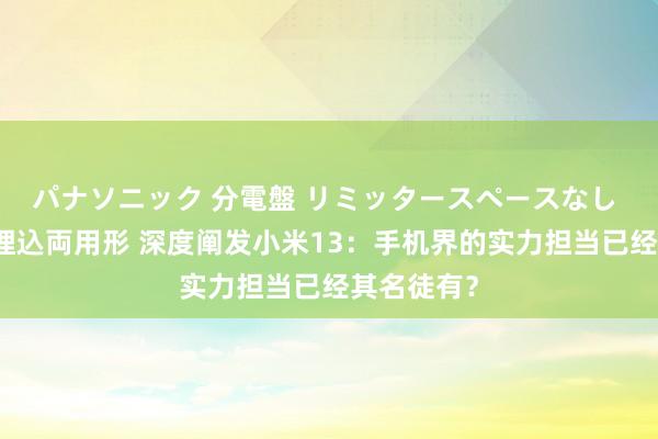 パナソニック 分電盤 リミッタースペースなし 露出・半埋込両