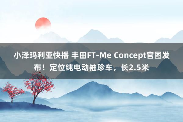 小泽玛利亚快播 丰田FT-Me Concept官图发布！定位