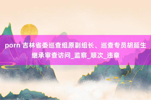 porn 吉林省委巡查组原副组长、巡查专员胡延生继承审查访问_监察_顺次_违章