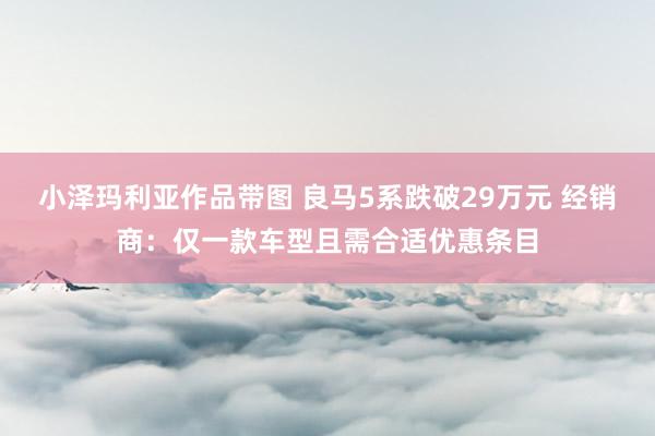 小泽玛利亚作品带图 良马5系跌破29万元 经销商：仅一款车型且需合适优惠条目